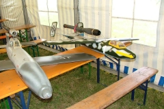 Salamander von Roland Haug