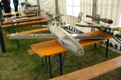 V1 und Salamander von Haug
