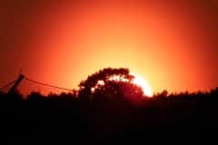 DSCF0104