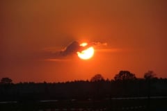 DSCF0274