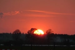 DSCF0282