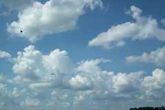 DSCF4378