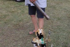 IMG_20250531_175202